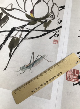 无声工笔花鸟艺术风宣纸国画