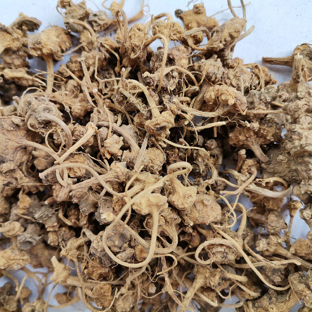 包邮 秦岭山野生珠儿参250克 珠子参 钮子七 扣子七 良心药材