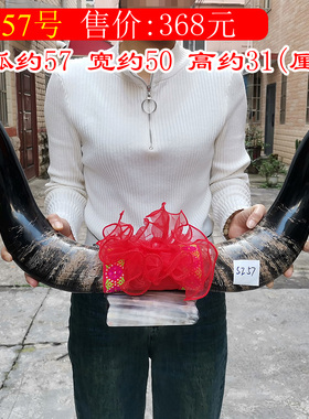 知梳世家天然牛角整角装饰摆件