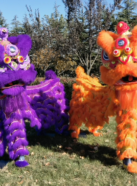 广东醒狮佛山狮正宗南狮舞狮醒狮