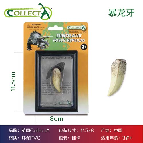 CollectA恐龙牙齿利爪化石霸王龙三角龙模型玩具教具科普标本收藏 - 图0