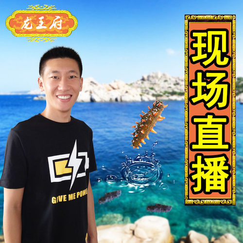龙王府海参 淡干海参 野生刺参海参干货 50克包邮 6至7年参龄 - 图0