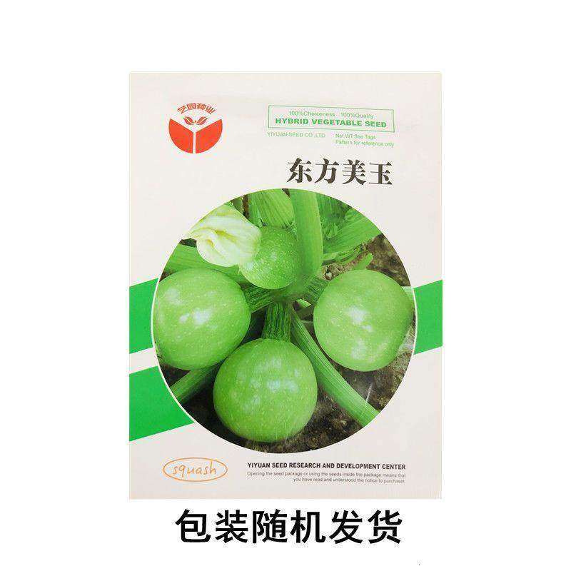 无蔓嫩南瓜种子早熟无藤短蔓小青瓜小南瓜农家庭院盆栽蔬菜种子,淘宝优惠券,粉丝福利购,淘宝优惠卷