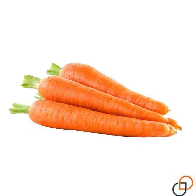 耐热耐寒胡萝卜种籽子四季夏秋播八寸参红色高产菜园盆栽蔬菜种孑,淘宝优惠券,粉丝福利购,淘宝优惠卷