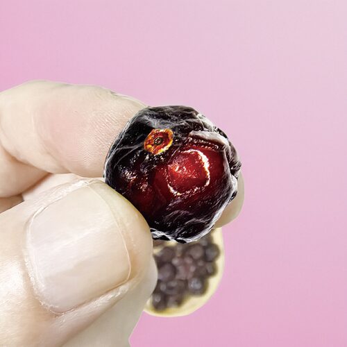 满果整粒蔓越莓干110g罐装莓类制品烘焙专用 - 图2