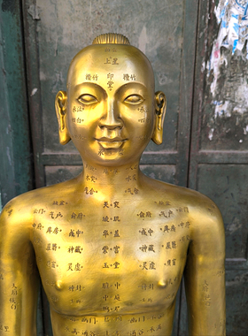 纯铜仿古针灸穴位人中医药店摆件