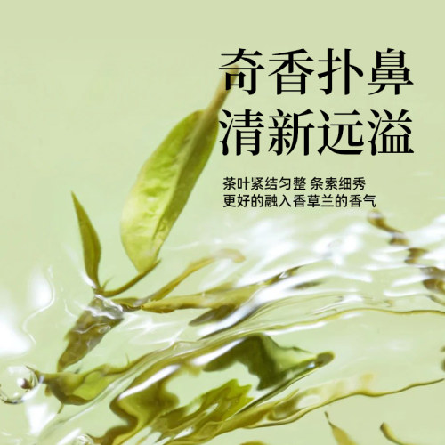 兴科新茶正宗特级香草兰绿茶装海南兴隆特茶万宁非物质文化遗产 - 图0