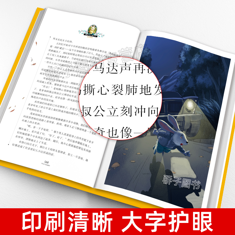 3本21元】兔子坡原著正版小学生三四五六年级阅读课外书必书籍经典书目国际大奖儿童文学畅销故事书美绘典藏版青少年儿童课外读物-图0