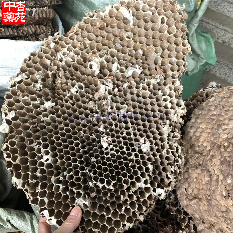 500g包邮露蜂房中药材蜂房大黄蜂巢胡蜂房马蜂窝黄蜂房硬蜂房-图0