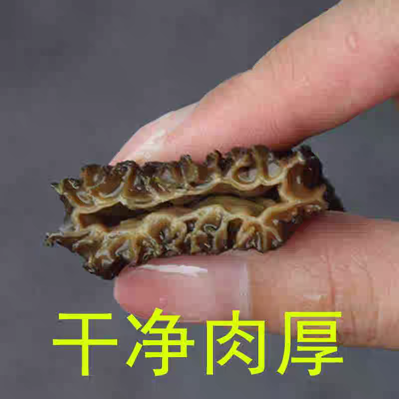 羊肚菌4-7cm头茬金堂县赵家产地发货煲汤干货食用菌 - 图2