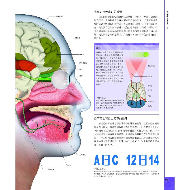 【新华文轩】DK大脑百科 关于大脑解剖结构、功能和疾病的图解指南 第3版 (英)丽塔·卡特 等 正版书籍 新华书店旗舰店文轩官网 - 图1