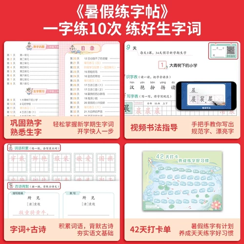 2025 Новая версия летних канилю