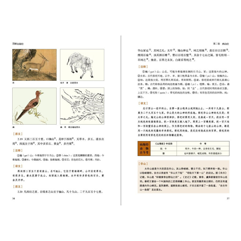 精装山海经彩绘版 小学生儿童版 全译全注全解插画含注释译文 四五六年级青少年孩子读得懂山海经图文白话文原版彩图山海经 - 图0