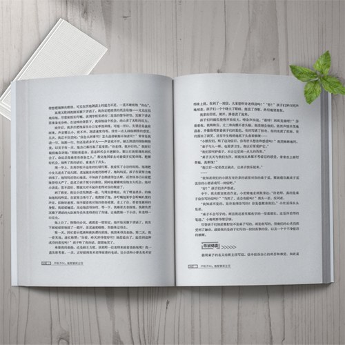 不吼不叫,做智慧班主任 许丹红 著 文教 教学方法及理论 华东师范大学出版社 新华书店旗舰店文轩官网 - 图1