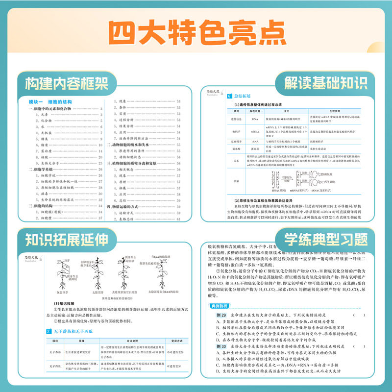 【顺丰包邮】2025李林生物笔记30天速记高中生物基础知识点德叔生物遗传学新教材全国版真题分类全刷1000高三教辅复习资料育甲高考