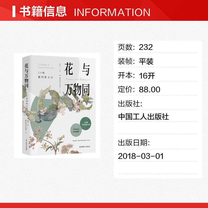 花与万物同:24科植物图文志 凌云 正版书籍 介绍24科常见植物的博物书 等待一个世纪再度面世的手绘植物图 读懂生命线索的幸福指南 - 图0