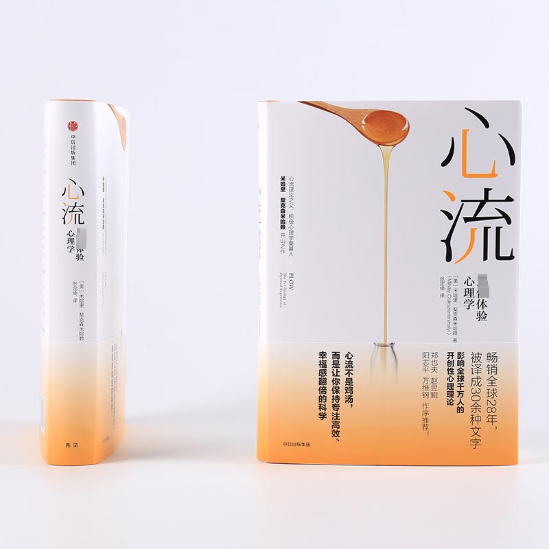 心流最优体验心理学正版 提升幸福感和生活效率 米哈里契克森米哈赖著 积极心理学书籍 人际交往社会心理学与生活 中信出版社 - 图0