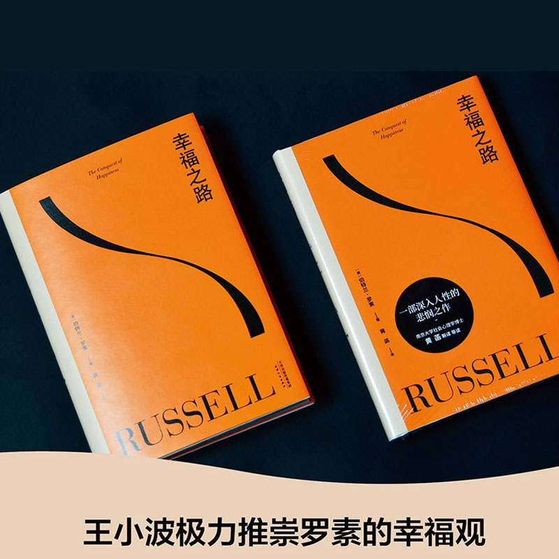 哲学问题+幸福之路 全2册 诺贝尔奖得主 王小波的精神导师伯特兰·罗素写给大众的哲学心理学入门书 黄菡 张卜天新译本 新华书店 - 图2