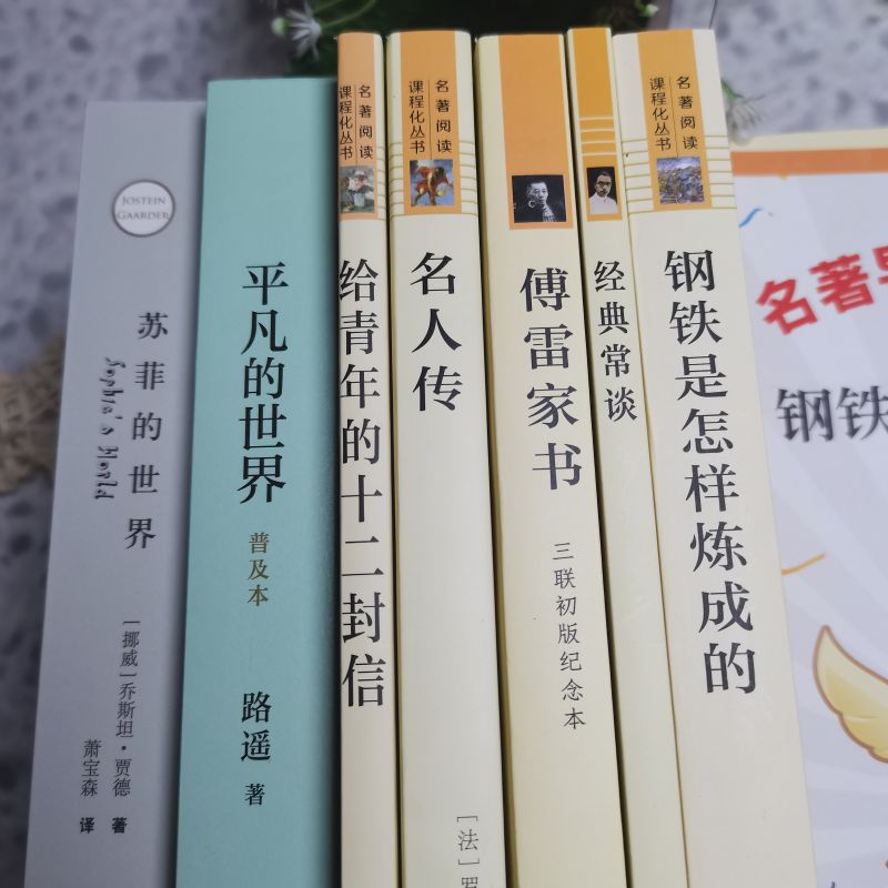 八年级下必阅读名著套裝6册人教版钢铁是怎样炼成的和经典常谈朱自清名人传给青年的十二封信平凡的世界苏菲的世界课外书新华书店-图3