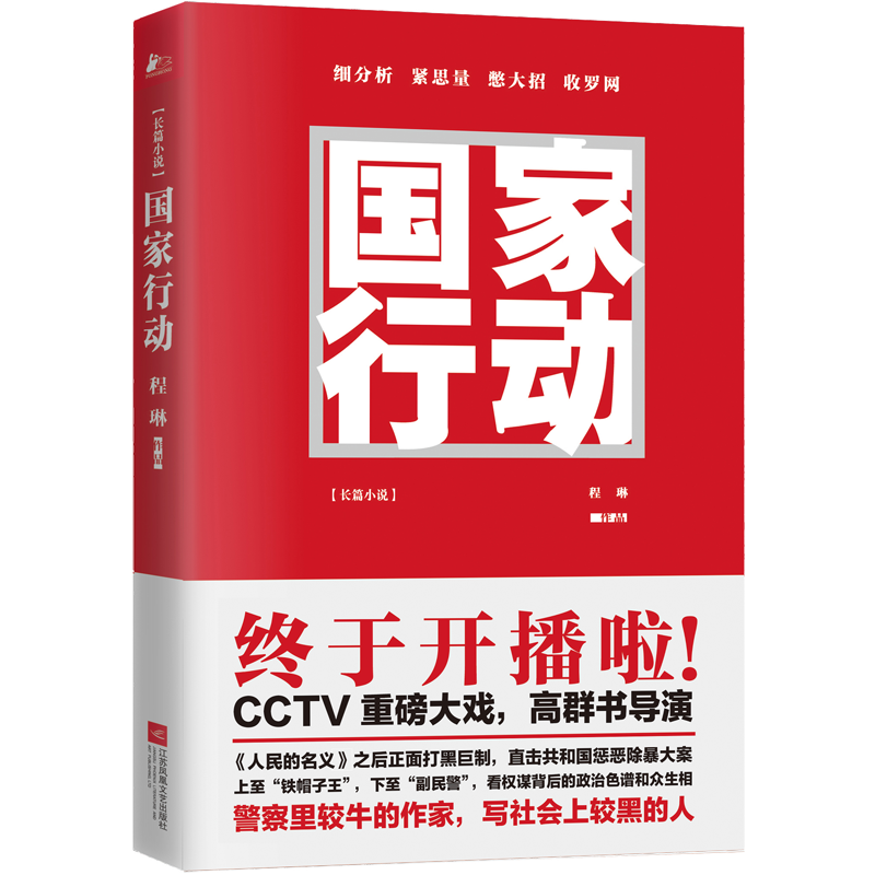 【正版包邮】国家行动 程琳著 张译主演同名电视剧原著小说长篇反腐刑侦 人民的名义天局同类 官场小说现当代文学畅销书籍排行榜 - 图2