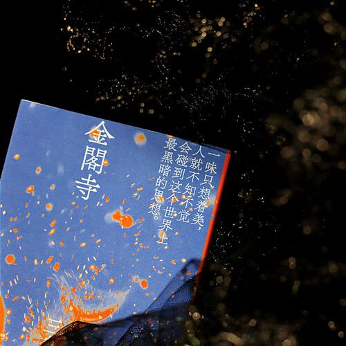 现货速发金阁寺 三岛由纪夫著 三岛美学的杰作日本小说 陈德文翻译修订译本 献给新青年的全新风格经典与二次元的灵感碰撞一頁文库 - 图0