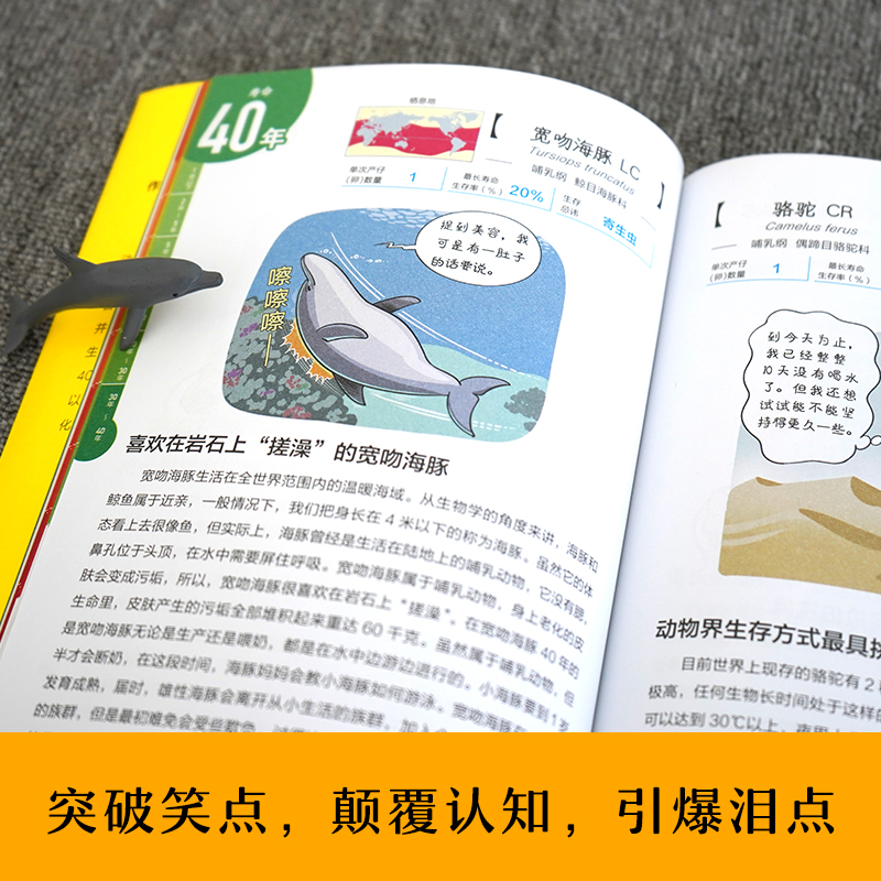 动物的那些事儿·超有趣！动物寿命书(日)新宅广二正版书籍新华书店旗舰店文轩官网晨光出版社-图1