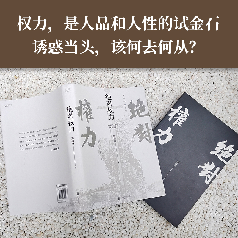 绝对权力 周梅森小说作品 人民的名义电视剧小说作者沧浪之水荣辱教科书级反腐小说国家图书奖中国当代长篇小说 - 图2