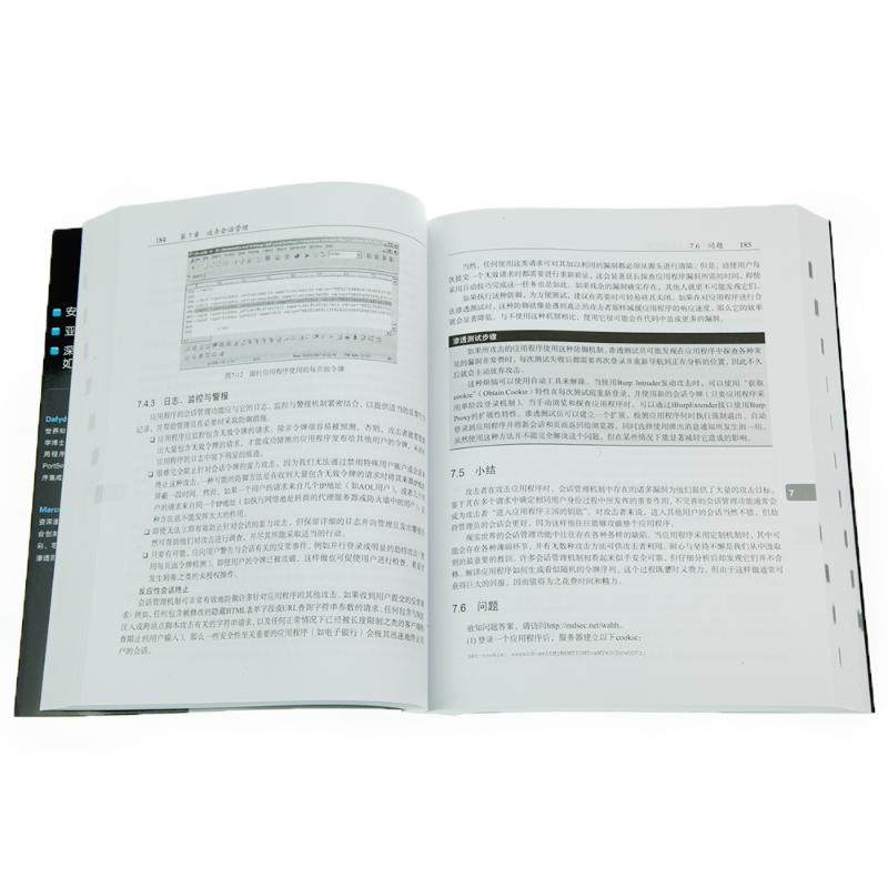 黑客攻防技术宝典 Web实战篇(第2版)(英)斯图塔德,(英)平托正版书籍新华书店旗舰店文轩官网人民邮电出版社_虎窝淘