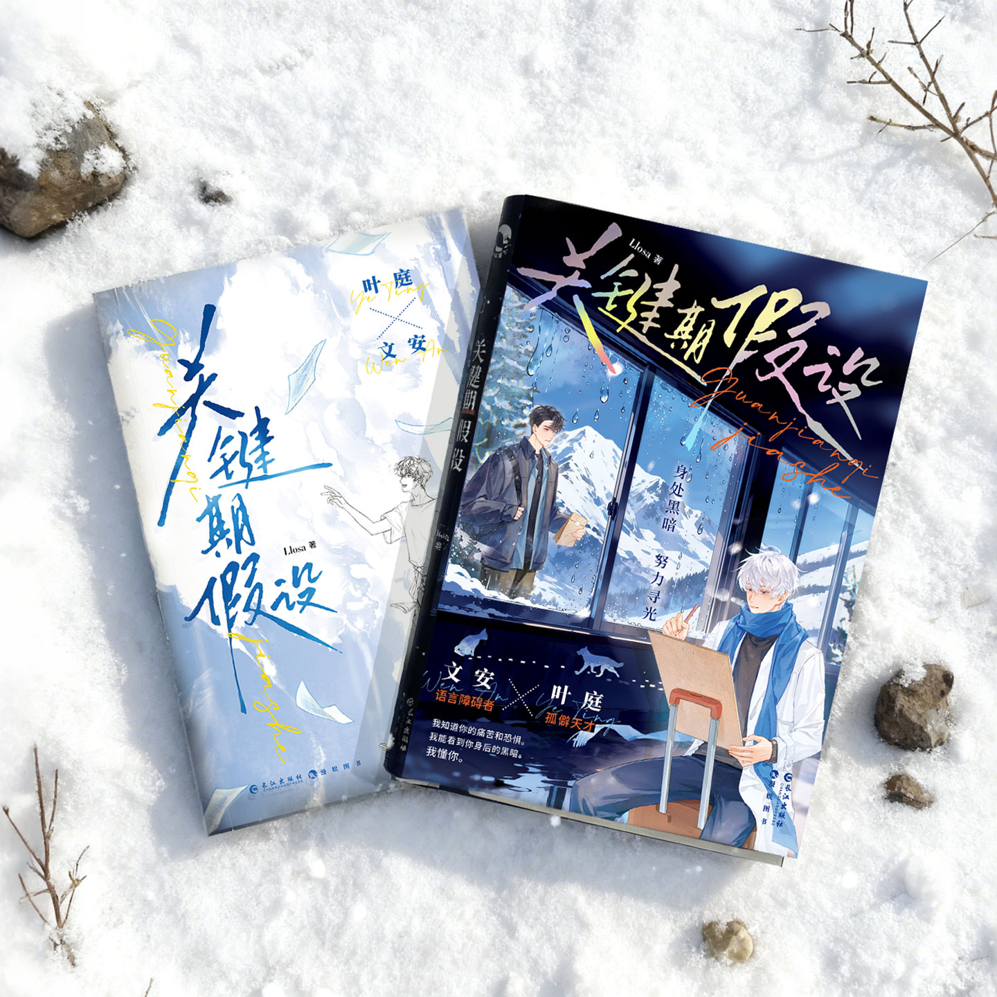 【特签/亲签/普遍任选】关键期假设 Llosa著【赠绘本明信片邮票书卡】孤僻天才温柔黑客叶庭×语言障碍绘本画家文安 竹马救赎甜饼 - 图2