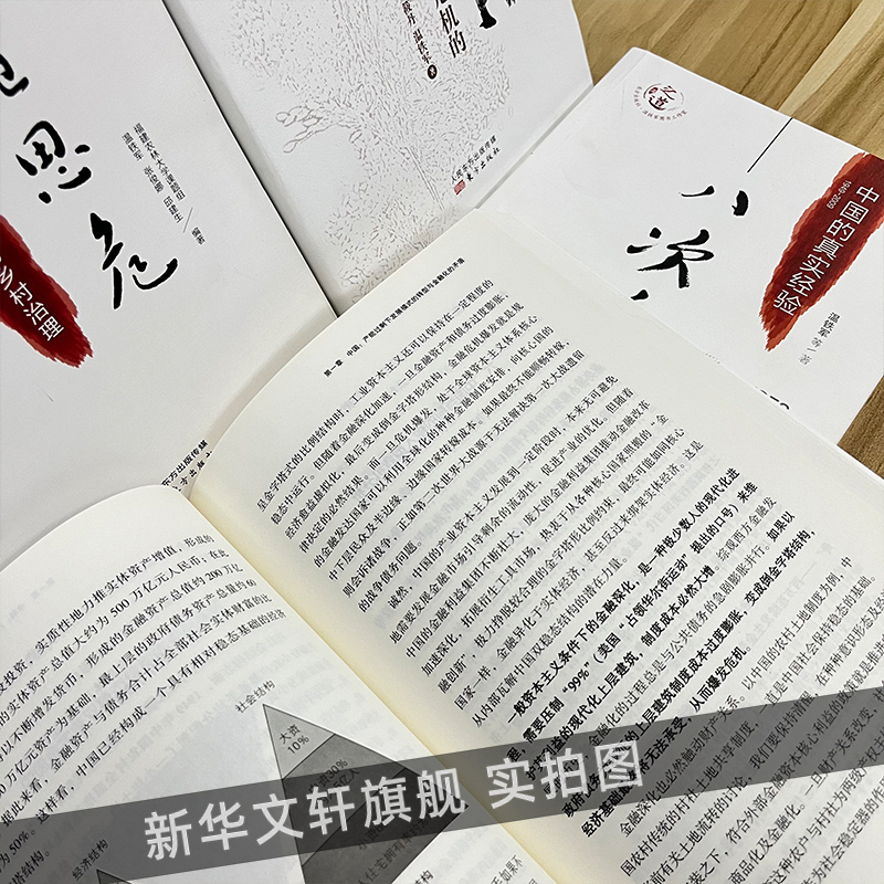 【4册】温铁军八次危机+去依附+居危思危+全球化与国家竞争 解读中国经济应对经济危机的经验国家安全乡村建设 温铁军作品正版书籍 - 图2