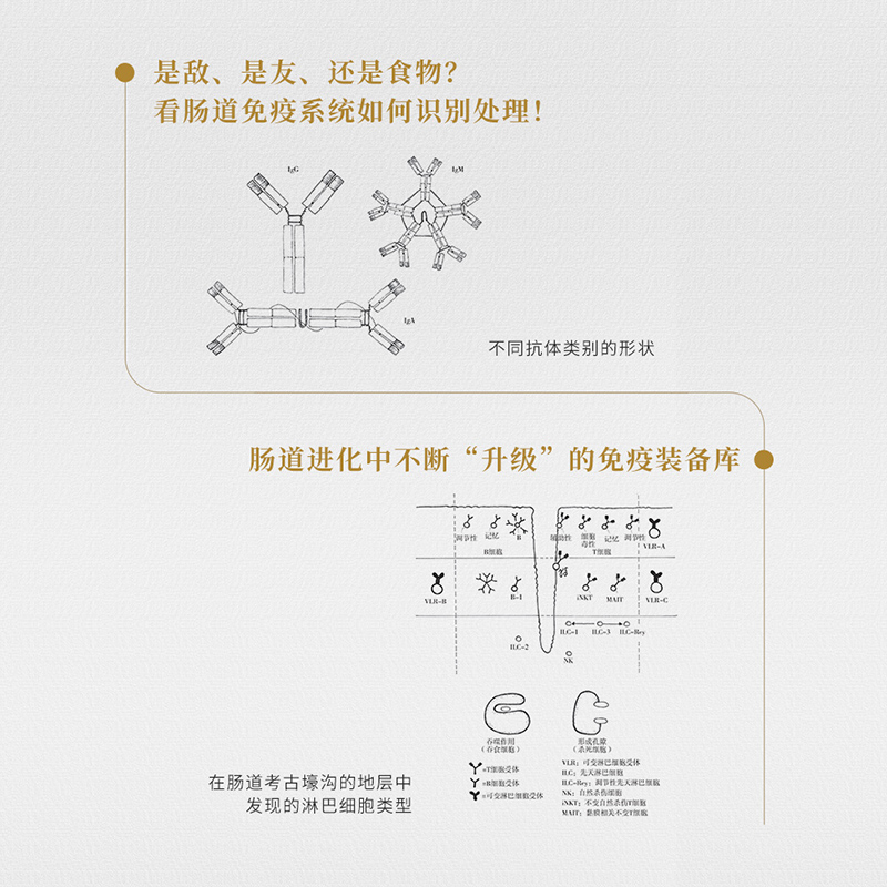 肠道考古 揭开肠道疾病的秘密 杰里米·伍德沃德 开启肠道考古之旅 探索细菌与人类共存的秘密 肠道菌肠疾病肠道消化书籍新华正版 - 图1