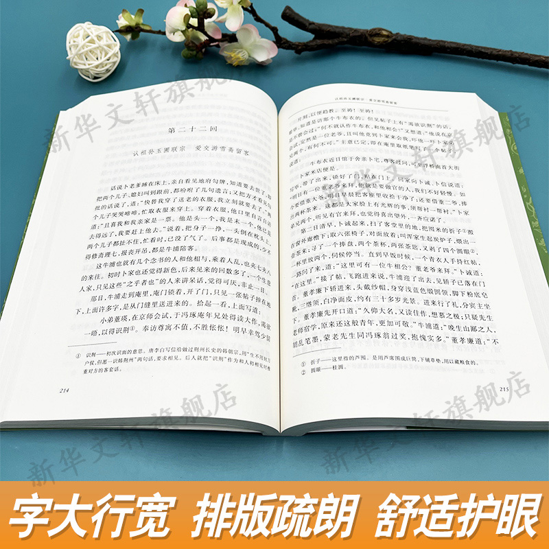 儒林外史正版原著 吴敬梓【九年级下册推荐阅读】人民文学教育小学初中生青少年版作品集人民文学出版社简爱新华书店文轩官网包邮 - 图2