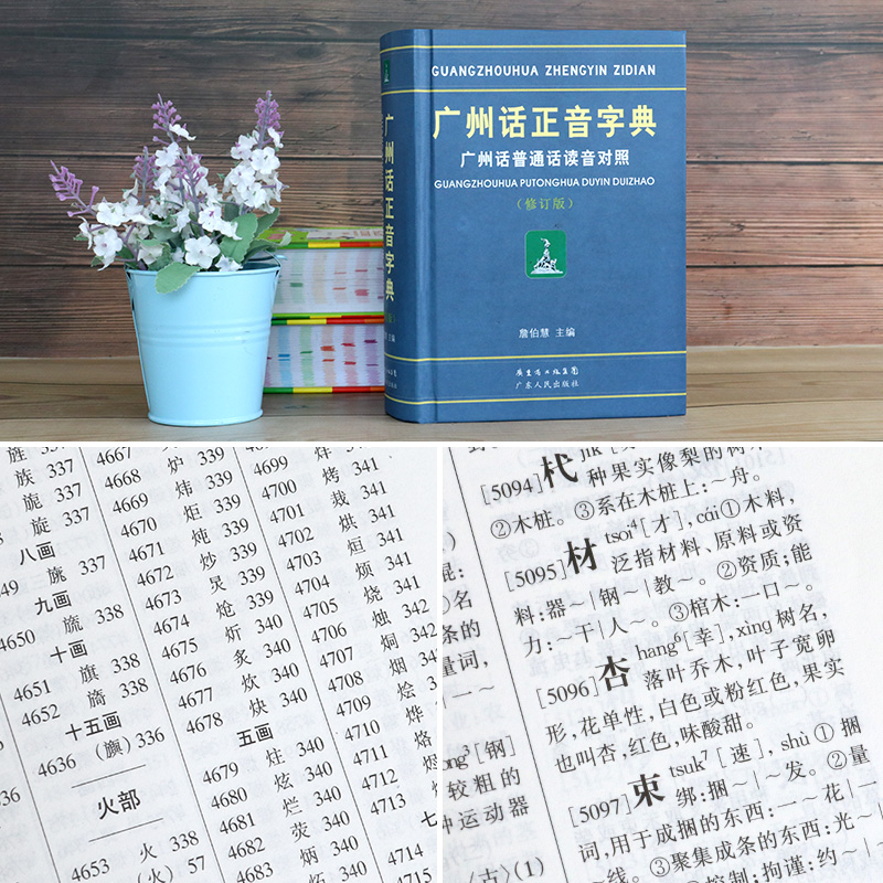 正版精装 广州话正音字典 普通话读音对照 詹伯慧 广东话正音字典 学粤语教程广州方言语言工具书籍 零基础学粤语的书 白话速成 - 图2