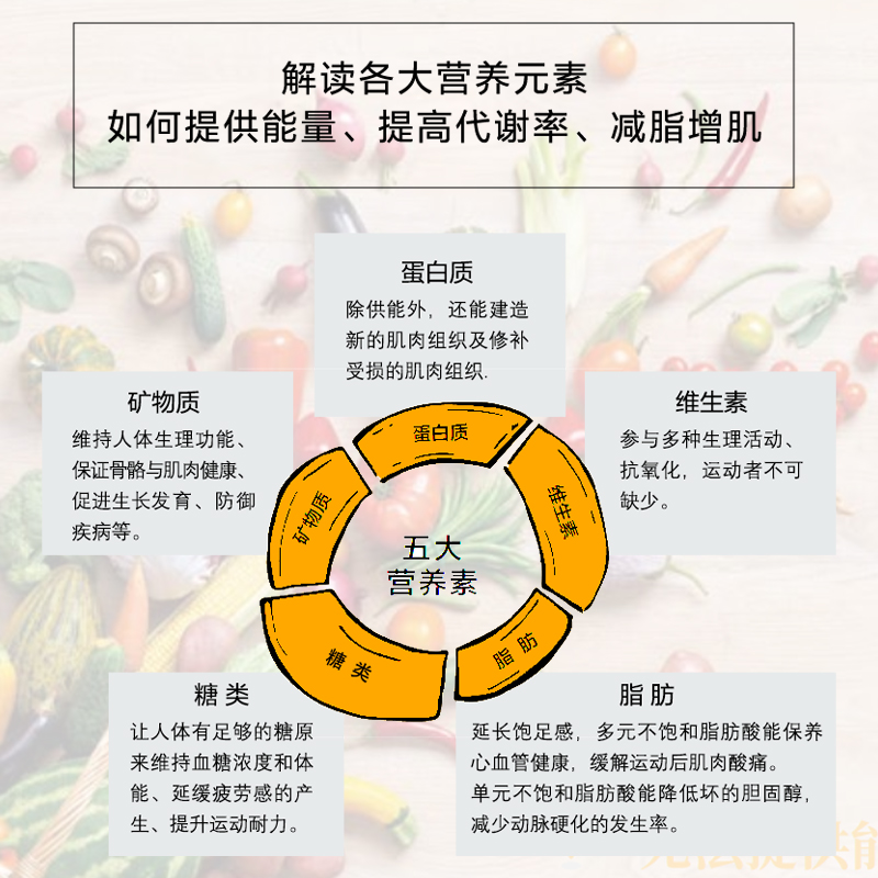 营养师的运动饮食笔记 高敏敏  解读运动与饮食之间的关系 有氧运动与无氧运动分别应该怎么吃 上班族食谱 轻食菜谱 减脂增肌食谱