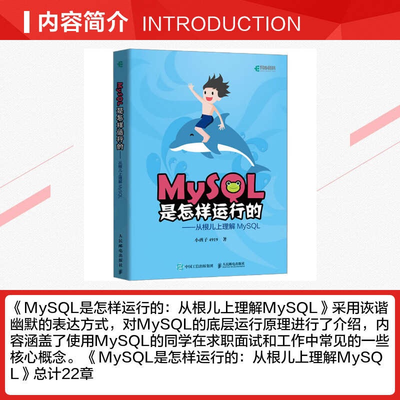 MySQL是怎样运行的 从根儿上理解MySQL 小孩子4919Mysql高性能MySQL必知必会深入浅出基础教程数据挖掘数据分析原理及应用书籍正版 - 图1