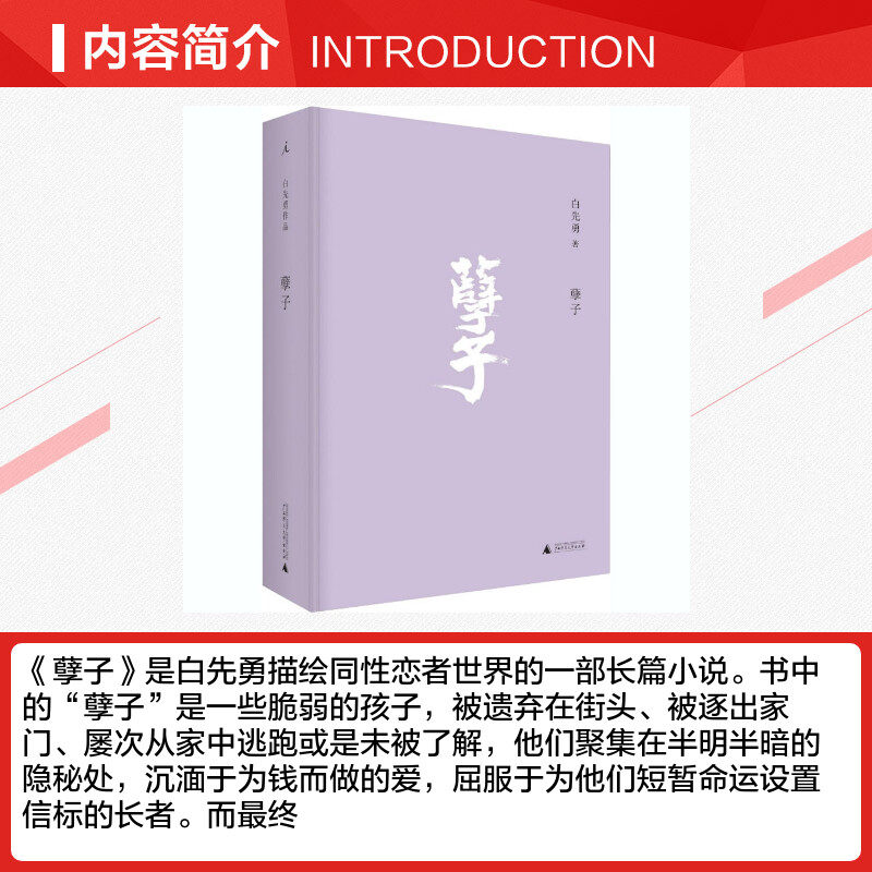 孽子白先勇正版书籍小说畅销书新华书店旗舰店文轩官网广西师范大学出版社_虎窝淘