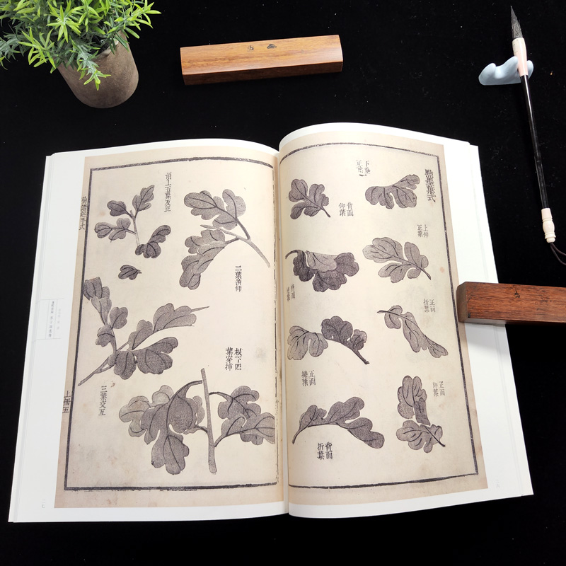 【新华文轩】康熙原版芥子园画传.花鸟卷.菊谱 康熙原版花鸟卷.菊谱(清)王概,(清)王蓍,(清)王臬 编 - 图3