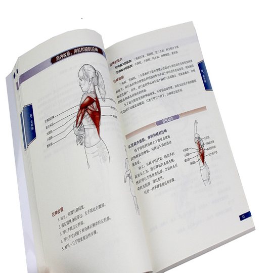 拉伸运动系统训练 全彩图解第2版 拉伸计划专业训练培训书籍 体能训练 肌肉锻炼 拉伸动作姿势 体育运动跑步圣经 新华书店正版图书