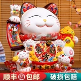 Экстравальская кошачья кошка Открытие