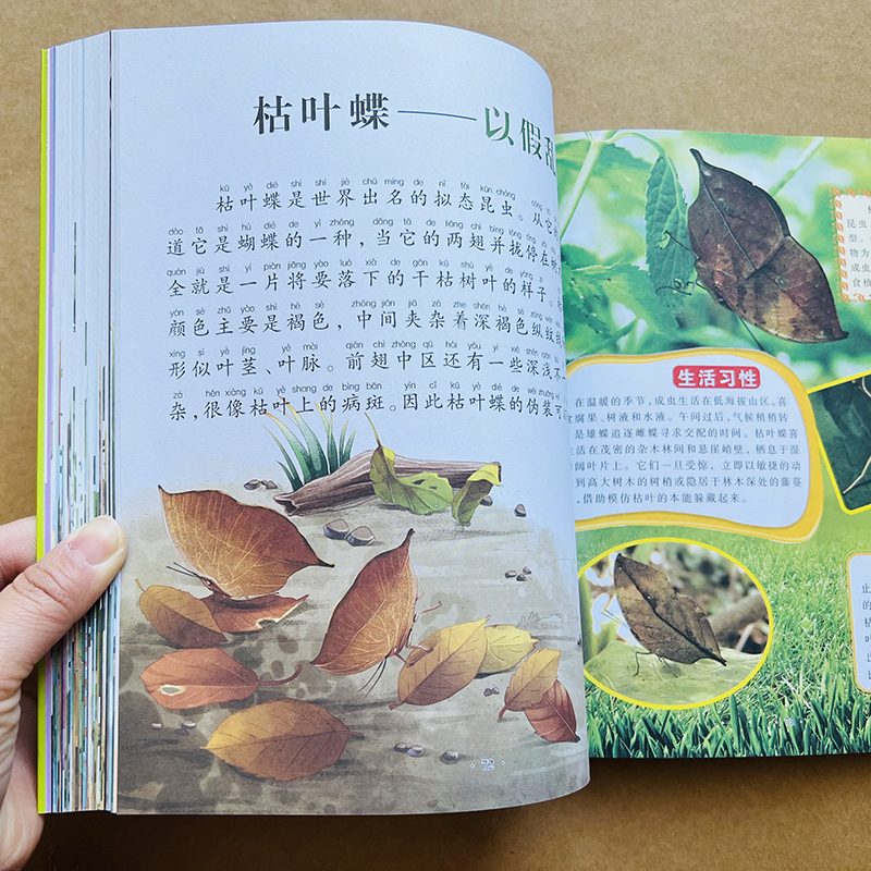 昆虫世界百科全书彩图注音版幼儿绘本认识昆虫虫子蝴蝶科学知识百科虫虫书大全宝宝认知儿童关于昆虫图片图鉴小学生昆虫世界历险记