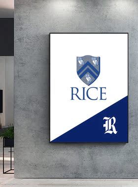 Rice莱斯大学装饰画 卧室 办公 现代简约 卧室 客厅 背景墙 定制
