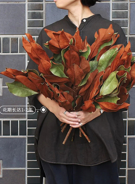 自然真花永生花干花手捧装饰摆件