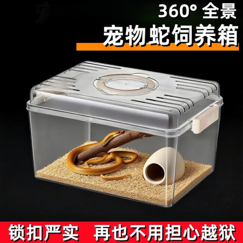 爬宠饲养箱甲虫饲养盒寄居螃蟹守宫乌龟蛇蛙饲养箱仓鼠手提外带笼 - 图1