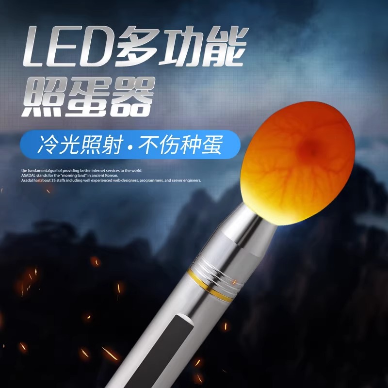 照蛋器led手电筒孵化专用验蛋孵蛋可充电照蛋灯蛋种检查冷光孵化-图0