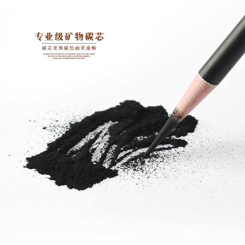 毕加索美术生考试专用专业素描炭笔软性速写碳笔绘画铅笔14B亚光 - 图2