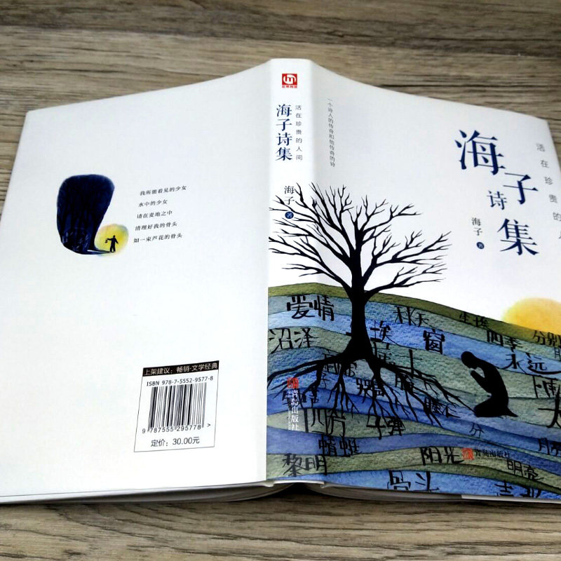活在珍贵的人间:海子诗集海子的诗正版海子的诗歌全集我只愿面朝大海春暖花开文学诗歌现当代文学畅销书籍诗集诗歌【硬壳精装】_虎窝淘