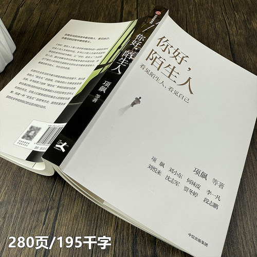 你好陌生人 项飙领衔新作 附近的消失议题延续之作 看见身边的陌生人看见附近看见自己看见社会 文学随笔 中信出版社 - 图0