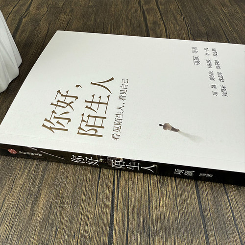 你好陌生人 项飙领衔新作 附近的消失议题延续之作 看见身边的陌生人看见附近看见自己看见社会 文学随笔 中信出版社 - 图1