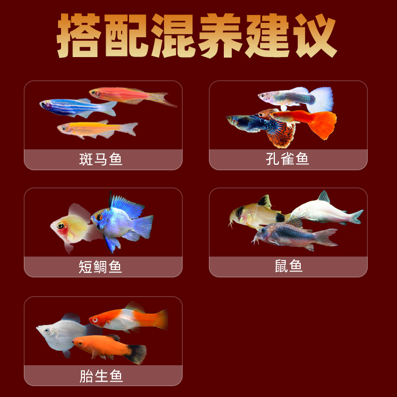 商品详情图片