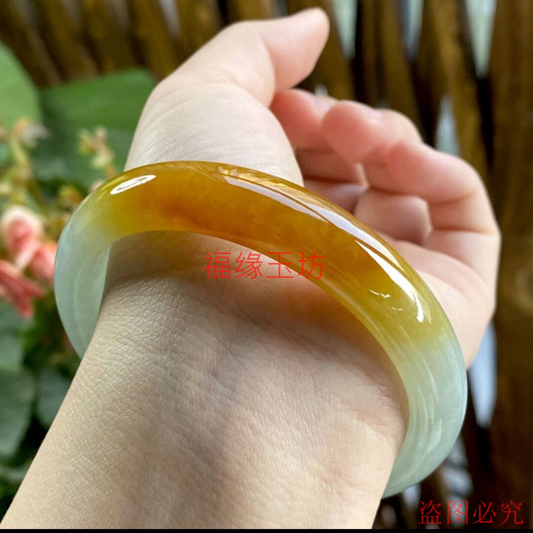 翡翠手镯女新款糯冰种正圈飘花黄翡玉镯子高端水润美人镯送礼 - 图0